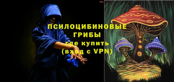 прущий лед Кодинск