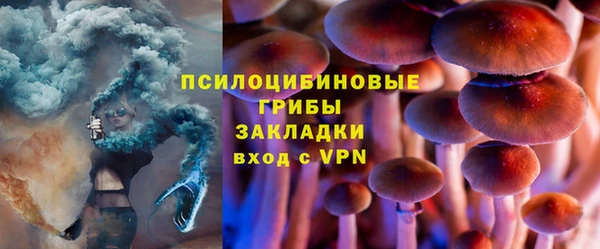крисы Киренск
